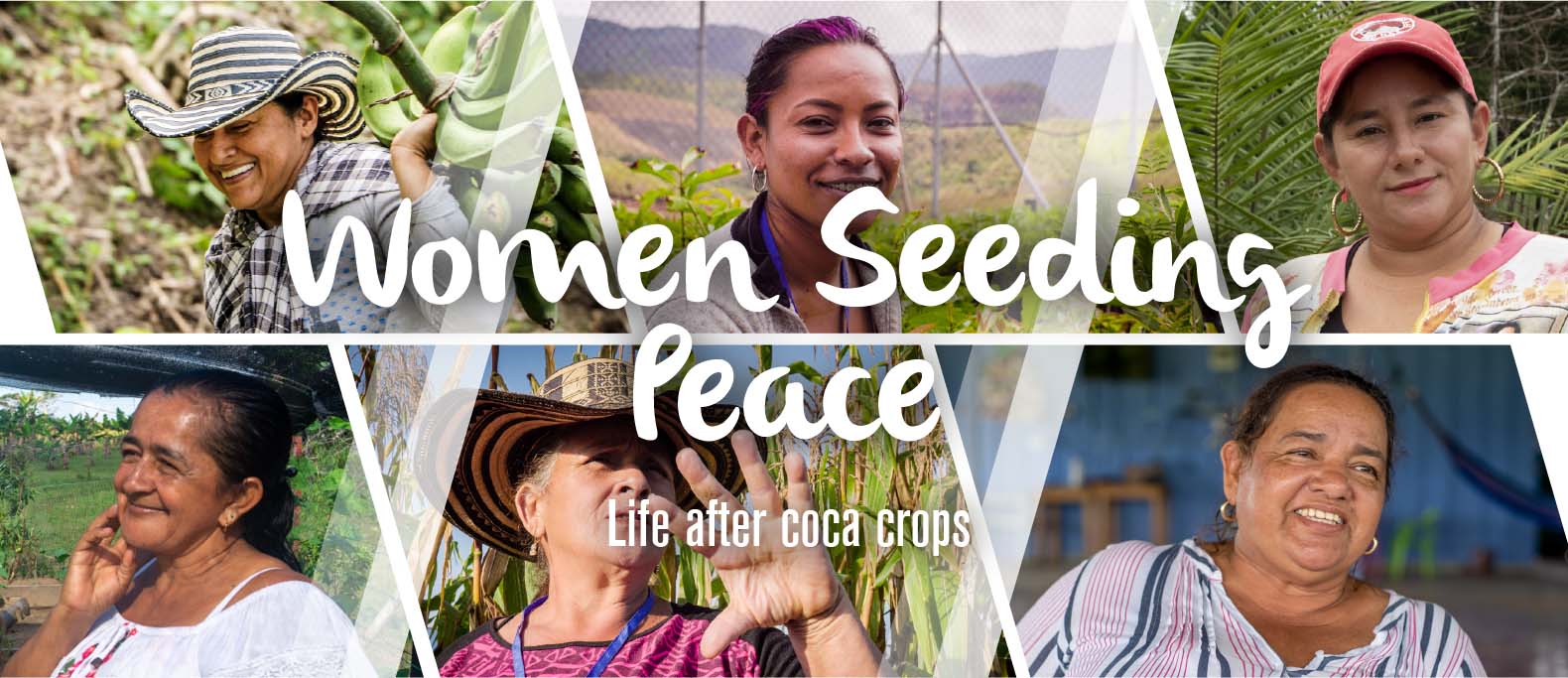 Women Seeding Peace EN banner