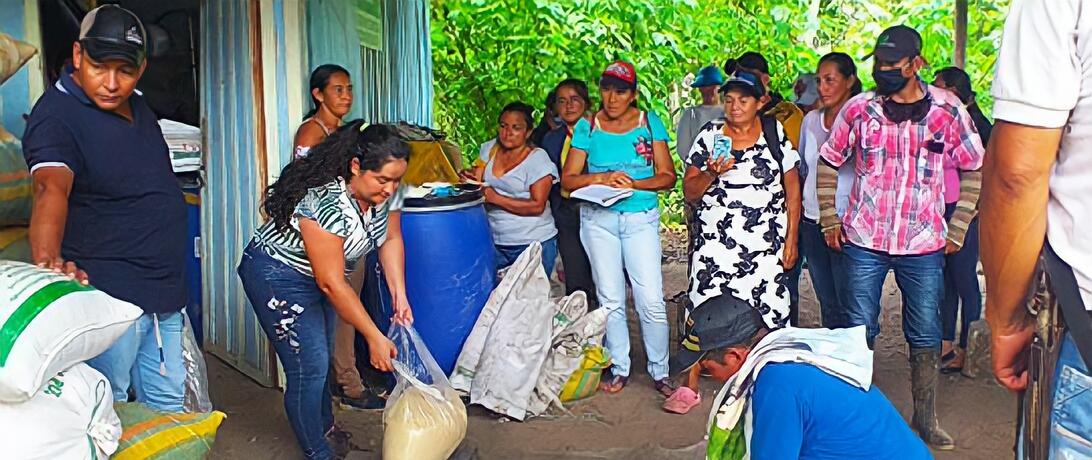 New Jobs Ex Combatants Colombia Farming Maize