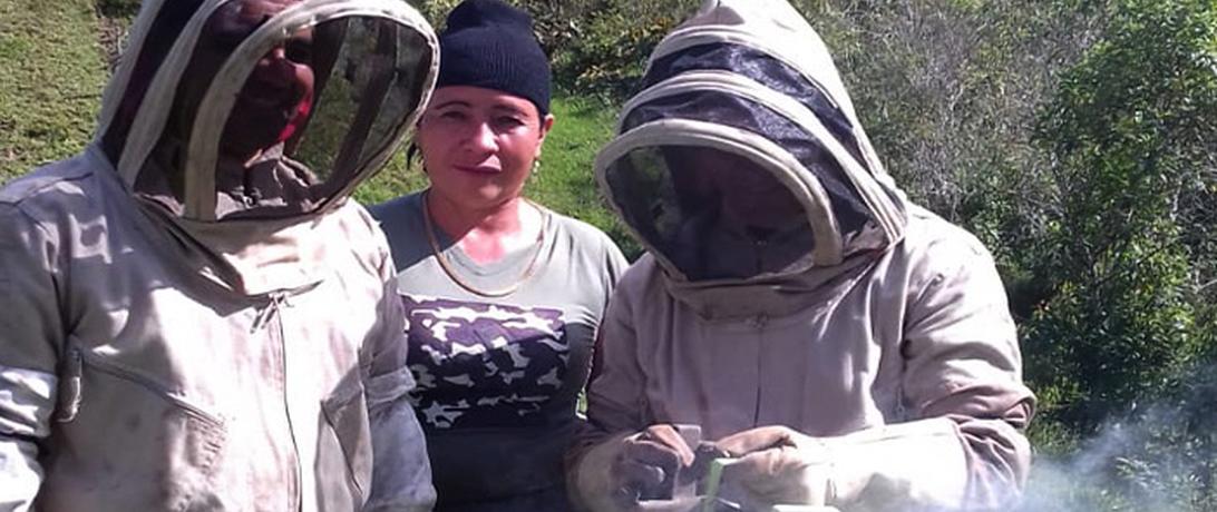 Beekeeper in Colombia