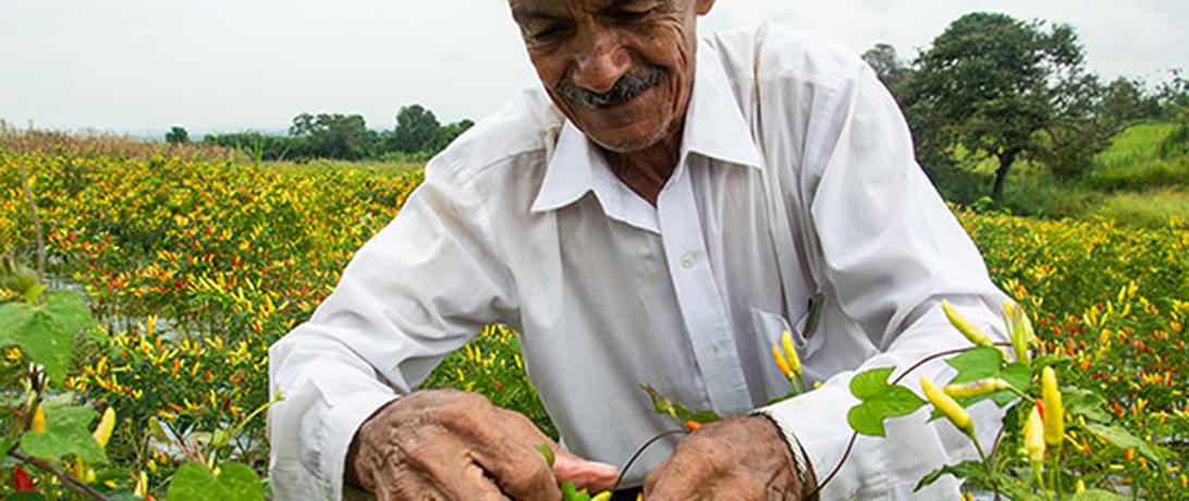 ex-combatants re-integration colombia farmer