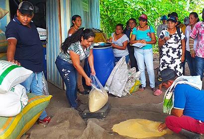 New Jobs Ex Combatants Colombia Farming Maize