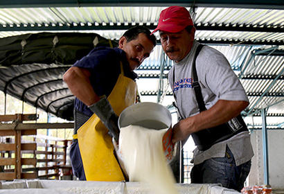 Dairy in Colombia