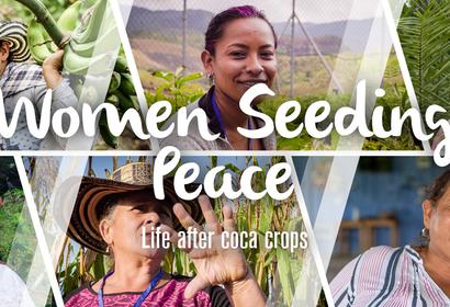 Women stop growing coca crops in Colombia